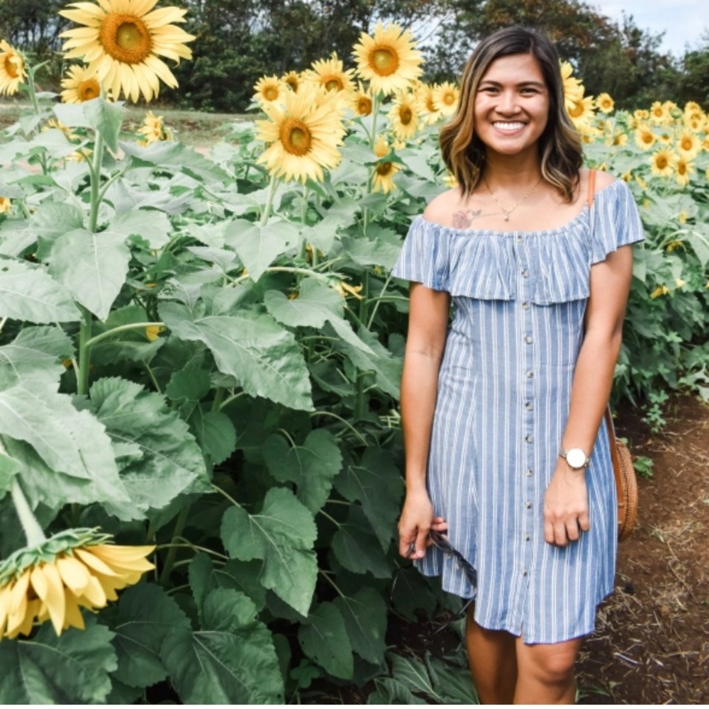 American Eagle Off Shoulder Dress